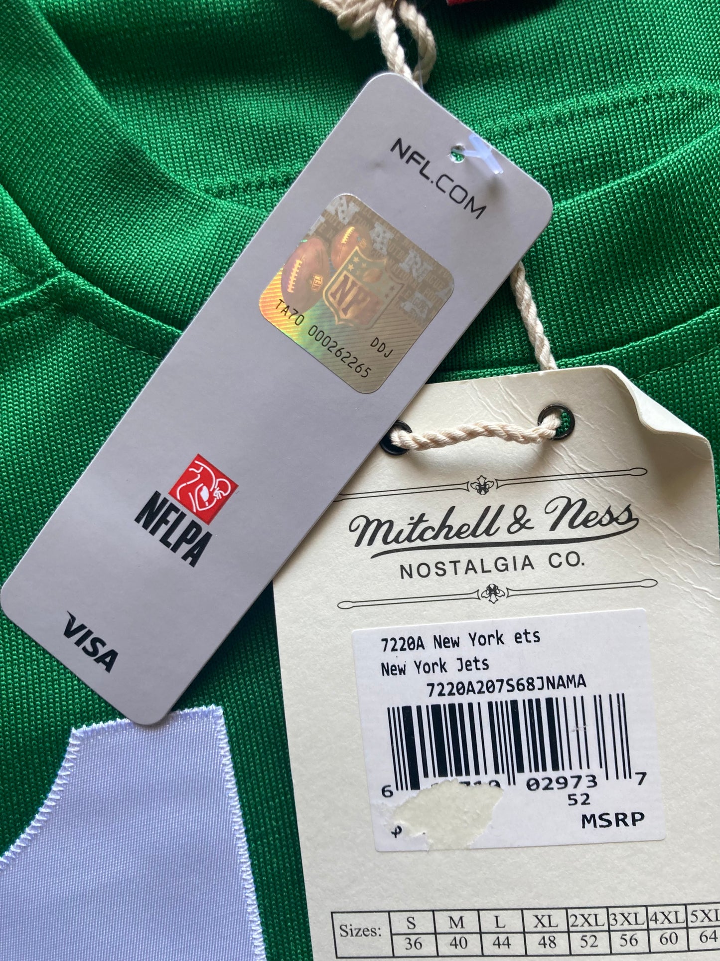 Joe Namath Signed Hand Painted Mitchell & Ness 1968 Jets Throwback Jersey Steiner COA