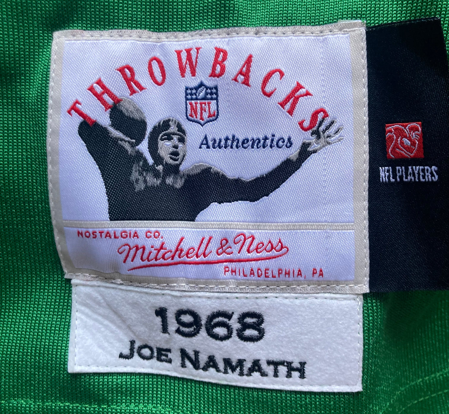 Joe Namath Signed Hand Painted Mitchell & Ness 1968 Jets Throwback Jersey Steiner COA